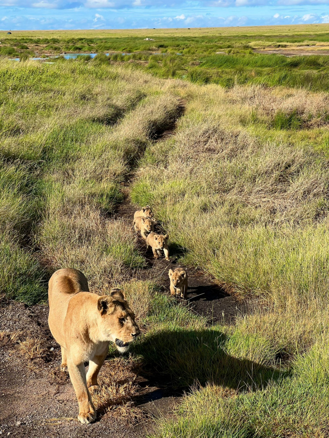 Tarangire National Park