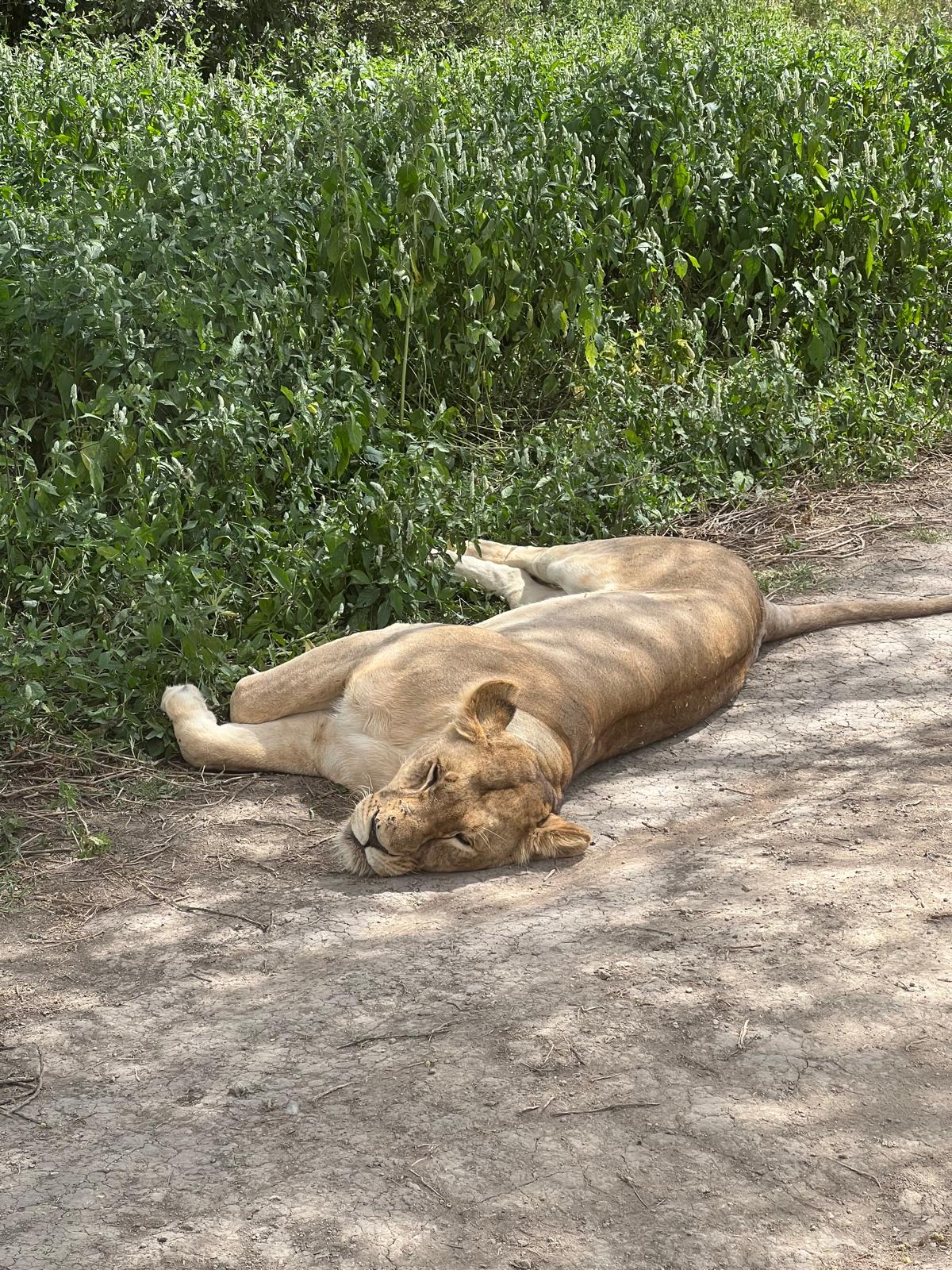 Lake Manyara National Park