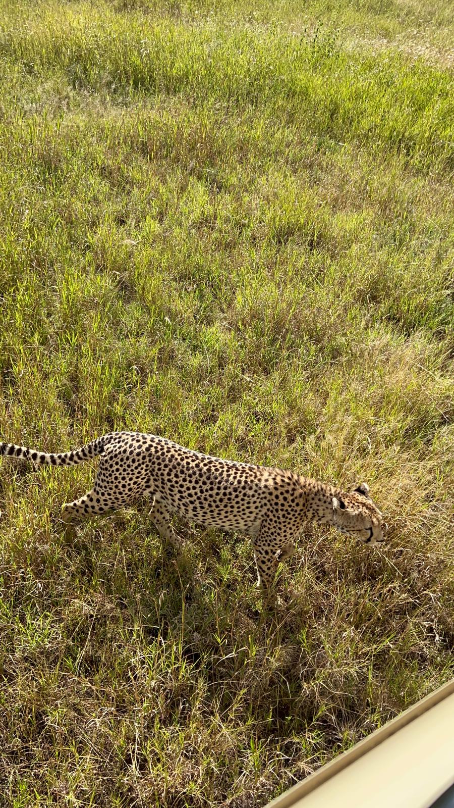 Serengeti National Park